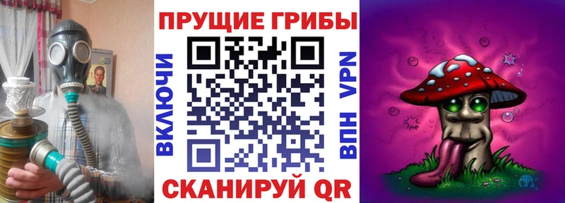 где купить   Покров  сайты даркнета как зайти  Галлюциногенные грибы ЛСД  мега ССЫЛКА 